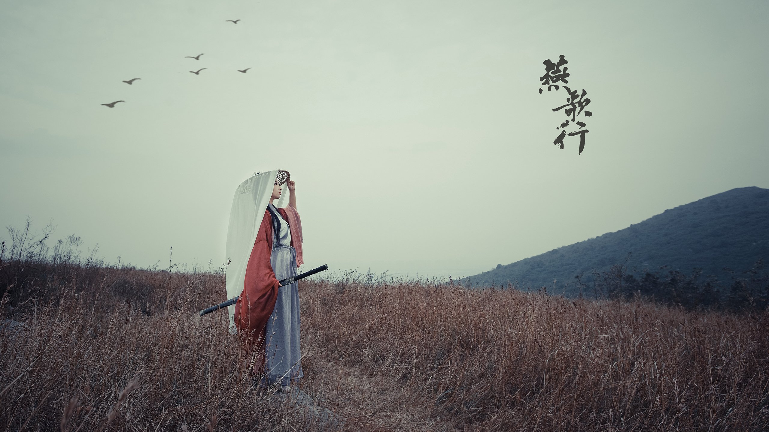 九游官网pc-NBA联盟赛事观众行为分析与体验提升，nba 观众